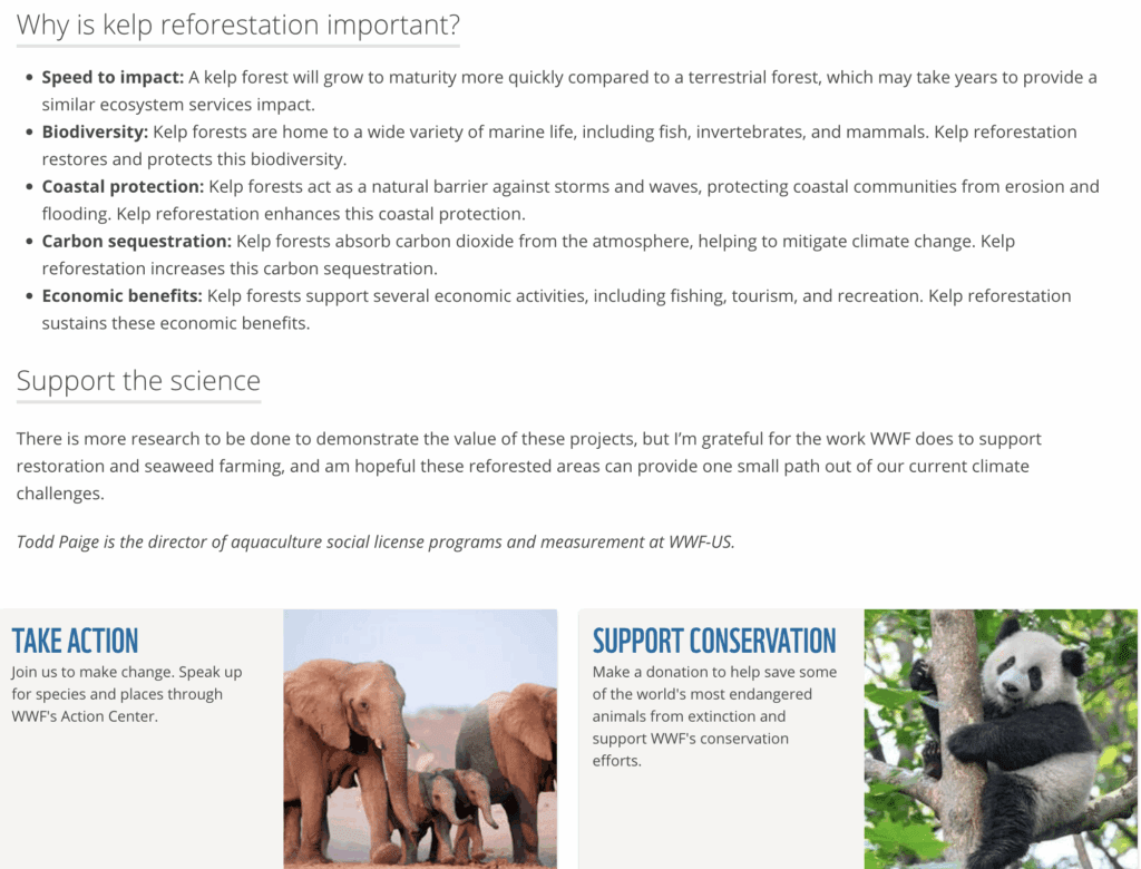 WWF: kelp reforestation