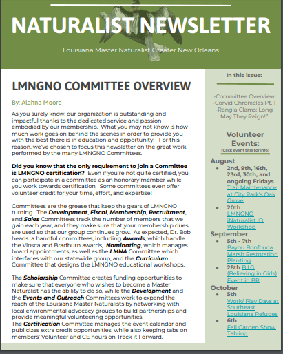 volunteer newsletter lousiana
